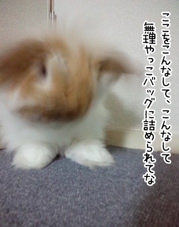 e0242030_19193889.jpg