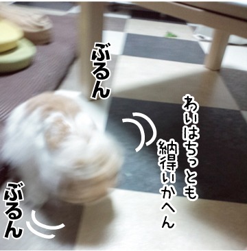 e0242030_19205781.jpg