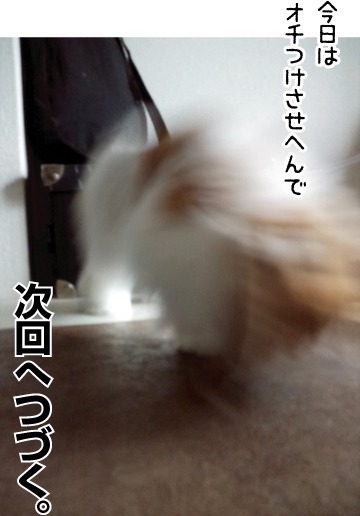 e0242030_1921937.jpg