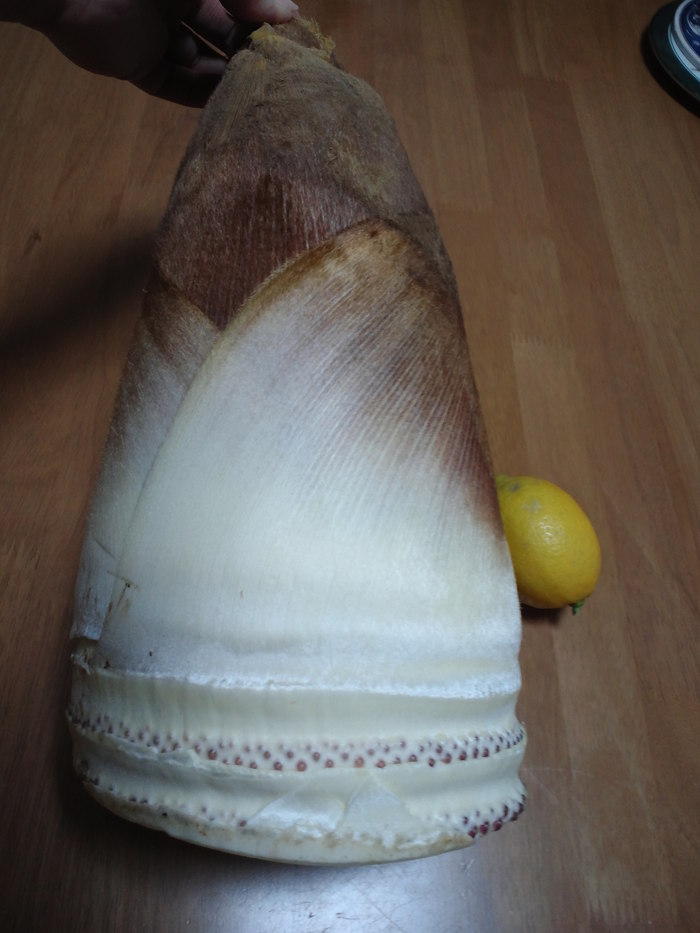 c0236632_7243741.jpg