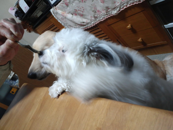 c0236632_7433368.jpg