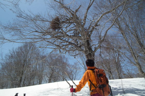 f0118332_0144422.jpg