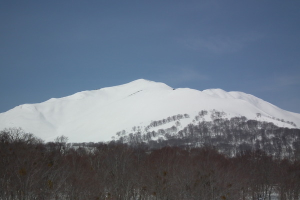 f0118332_0211467.jpg
