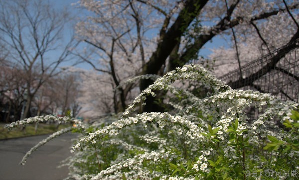 c0133533_2234174.jpg
