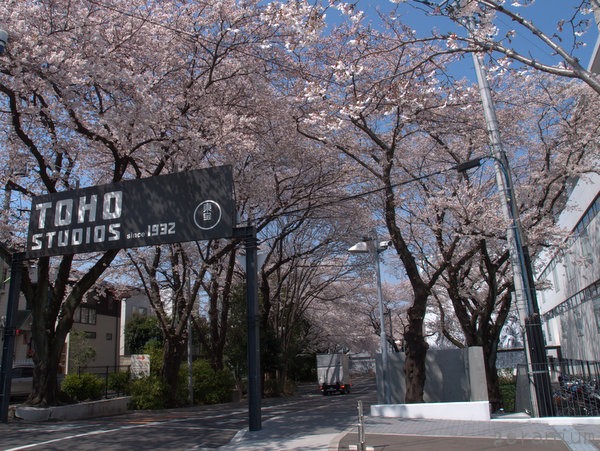 c0133533_2272297.jpg