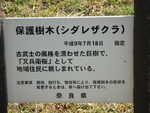 d0037233_13294017.jpg