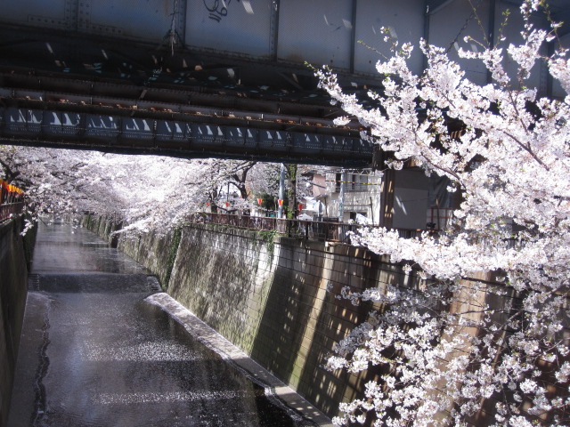 c0151934_22331725.jpg