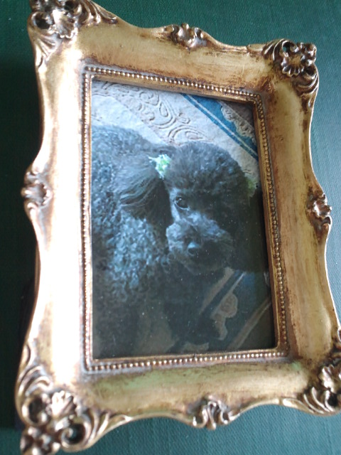 c0117239_8212370.jpg