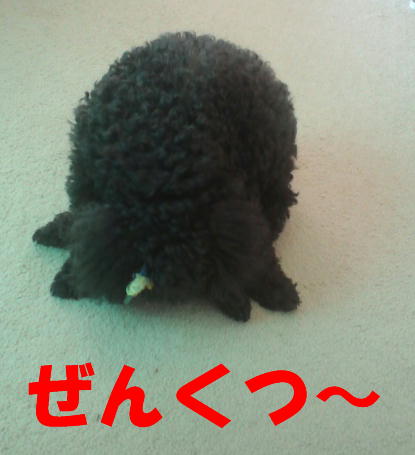 c0117239_871273.jpg