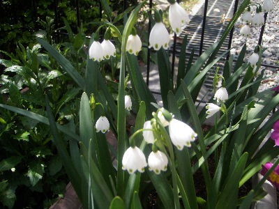 a0054240_20512112.jpg