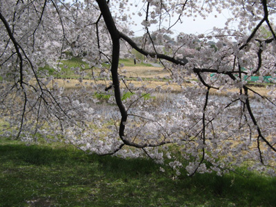 b0134745_1104557.jpg
