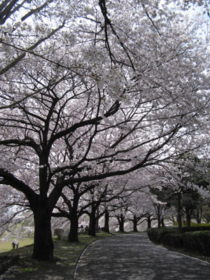 b0134745_1143814.jpg