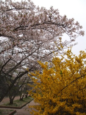 f0068649_1115155.jpg