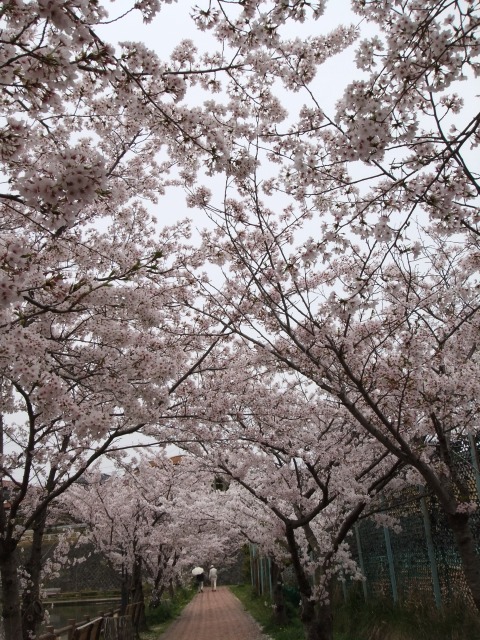 f0068649_1145716.jpg