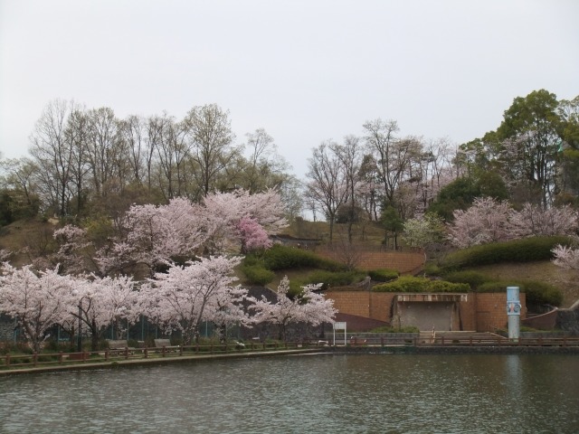 f0068649_1195699.jpg