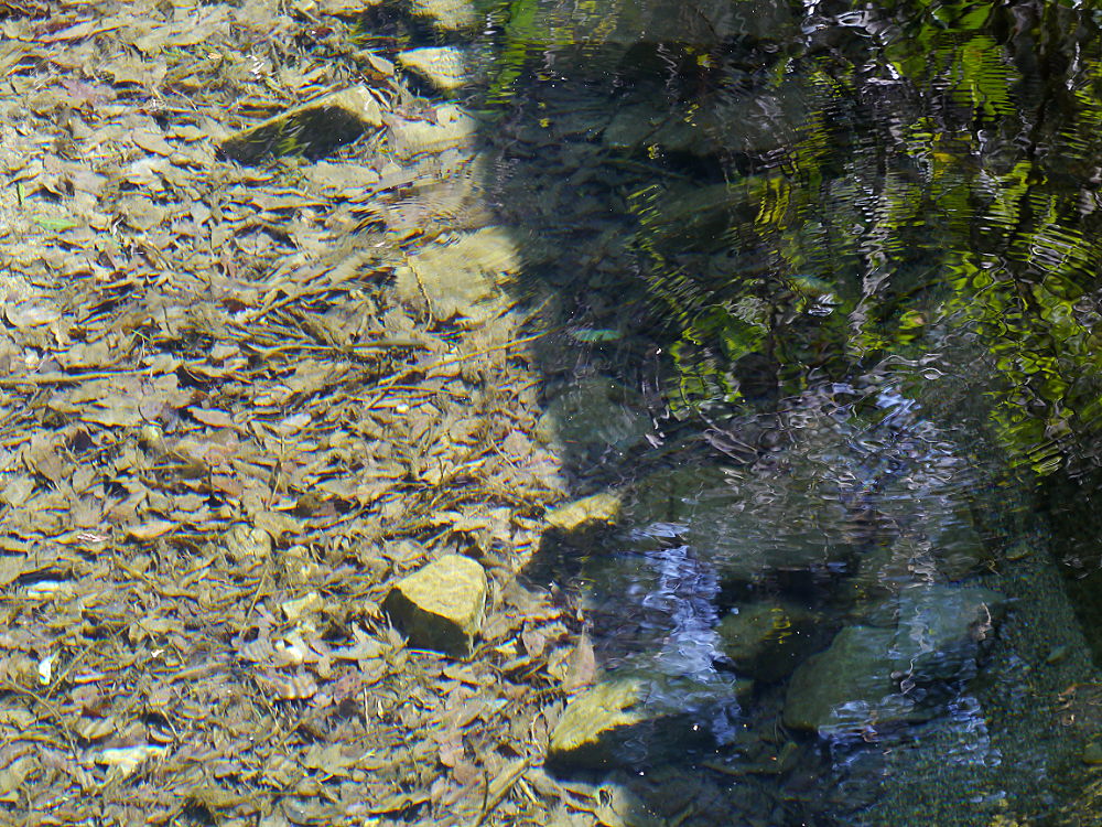 d0091754_012415.jpg
