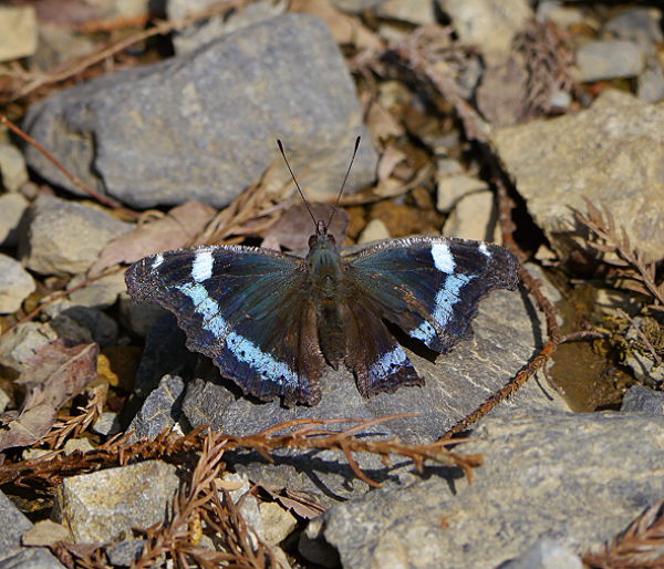 d0091754_013557.jpg