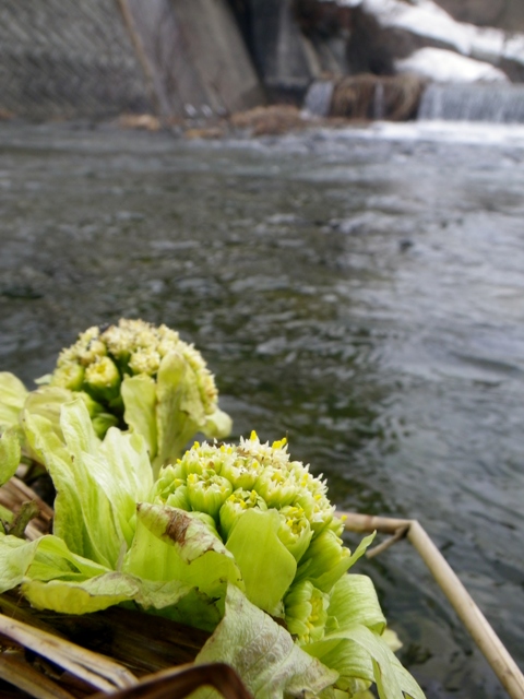 b0177355_22565590.jpg