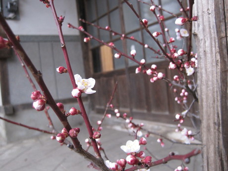 a0254759_14585728.jpg