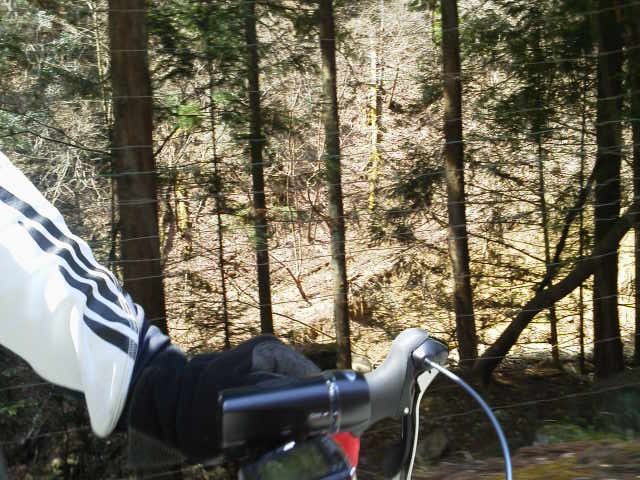 c0214359_0272427.jpg