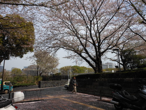 a0085663_1827126.jpg
