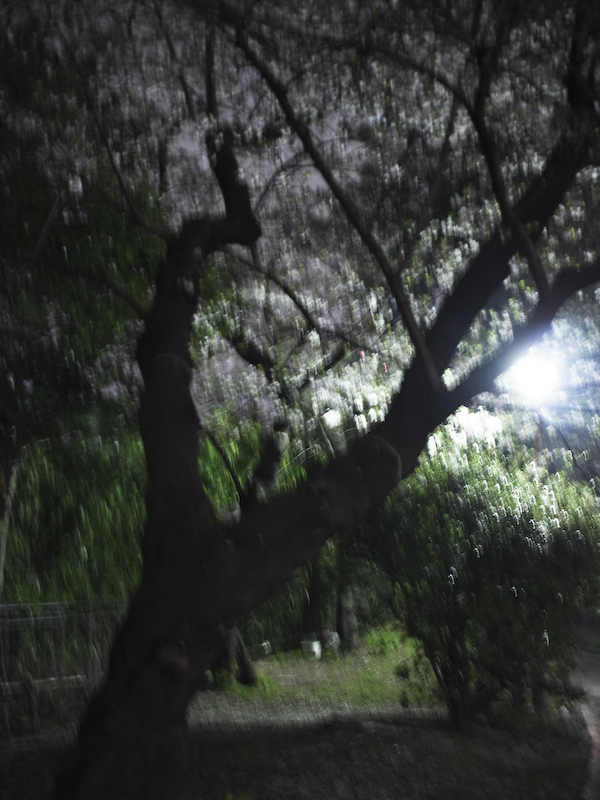 b0122664_204271.jpg