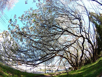 b0180764_015345.jpg