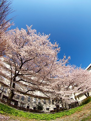 b0180764_017346.jpg