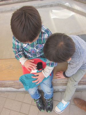 e0250065_4235437.jpg