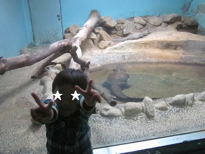 e0250065_4282754.jpg
