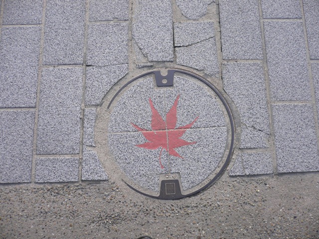 b0223766_20495868.jpg
