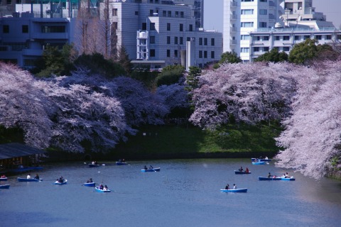 e0045768_2227414.jpg