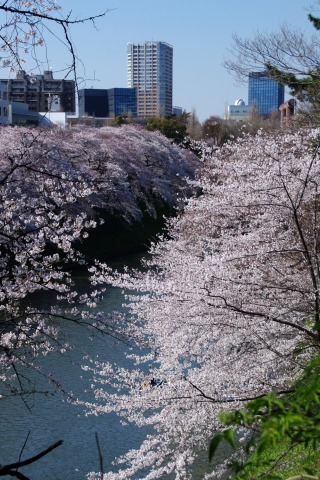 e0045768_22314331.jpg