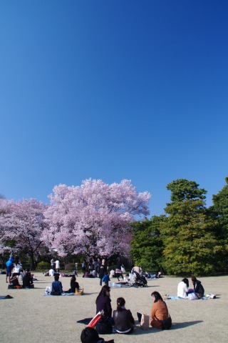 e0045768_22353100.jpg