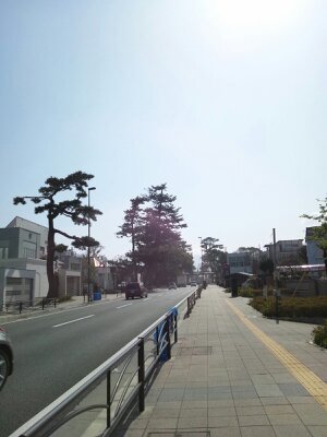 d0126879_11155344.jpg