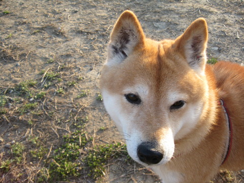 f0230380_19102912.jpg