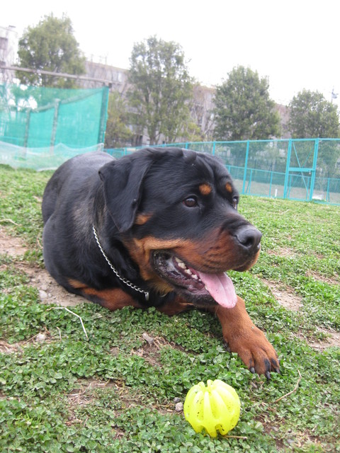 f0230380_19274399.jpg