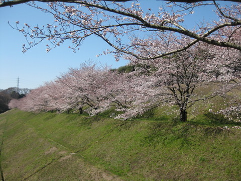 f0230380_1931845.jpg