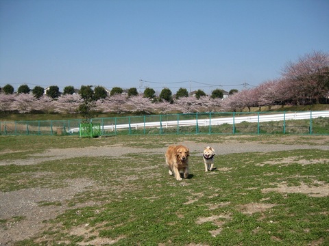 f0230380_194331.jpg