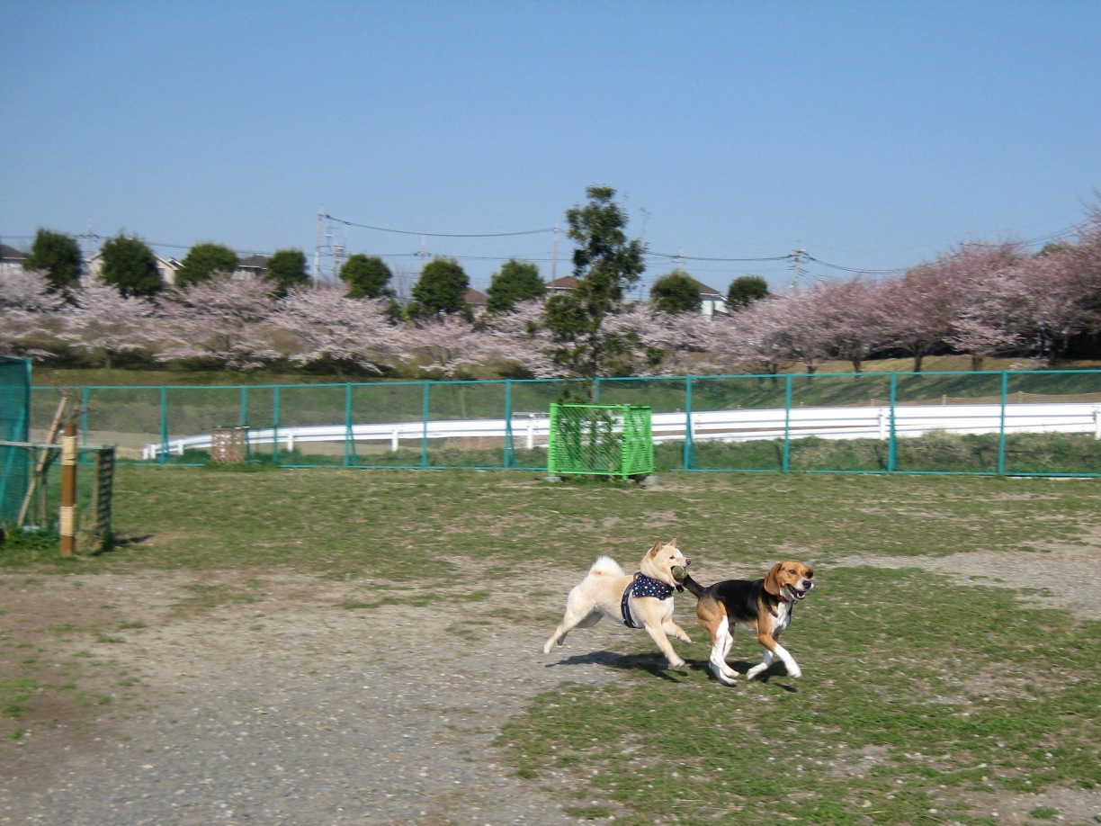 f0230380_19434066.jpg