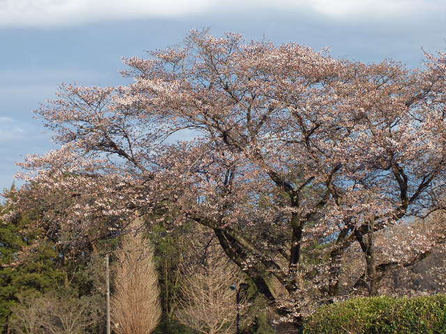 e0145782_17444172.jpg
