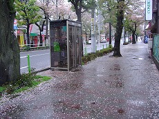 a0142083_19261253.jpg