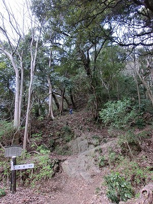e0123587_1938519.jpg