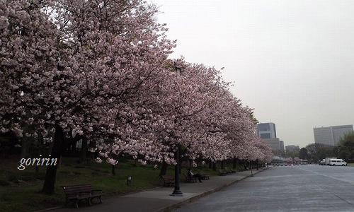 f0202291_20222751.jpg