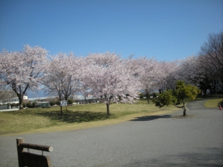 f0081100_9363658.jpg