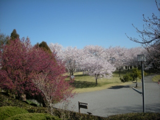 f0081100_9365441.jpg