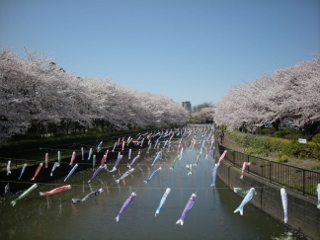 f0081100_937424.jpg