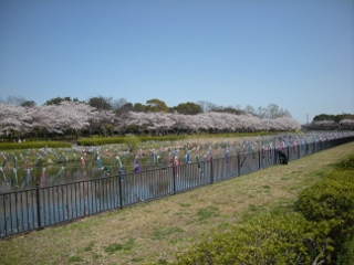 f0081100_9383340.jpg