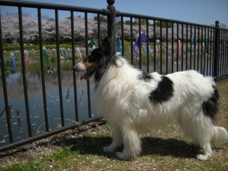 f0081100_9384980.jpg