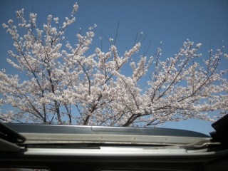 f0081100_9393240.jpg